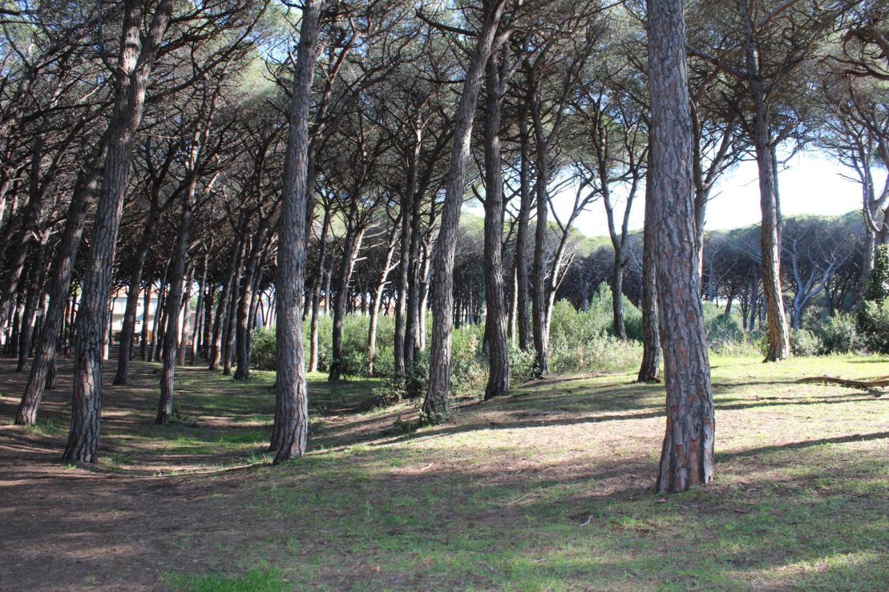 Hotel Massimo Marina di Cecina Esterno foto
